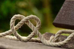 Shibari Knots