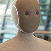 Neo robot