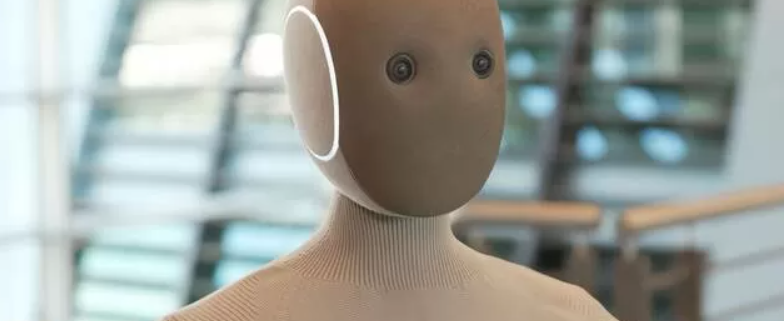 Neo robot